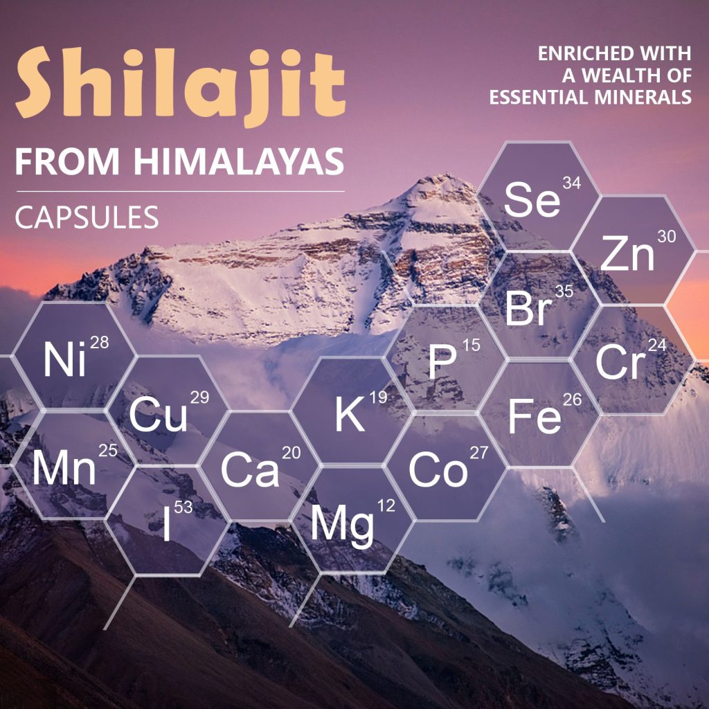 shilajit organic